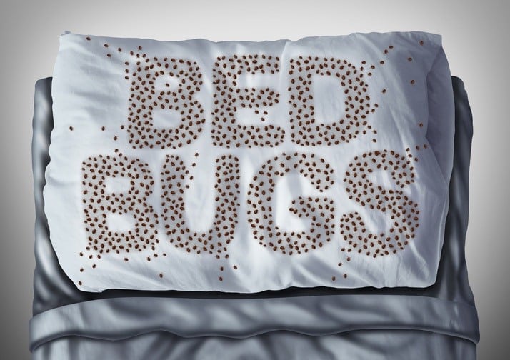 3 Keys to a Successful Bed Bug Plan for Multi-Tennant Property Owners