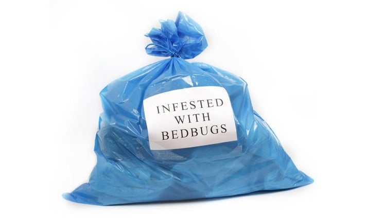 What to do if you think you have BED BUGS!