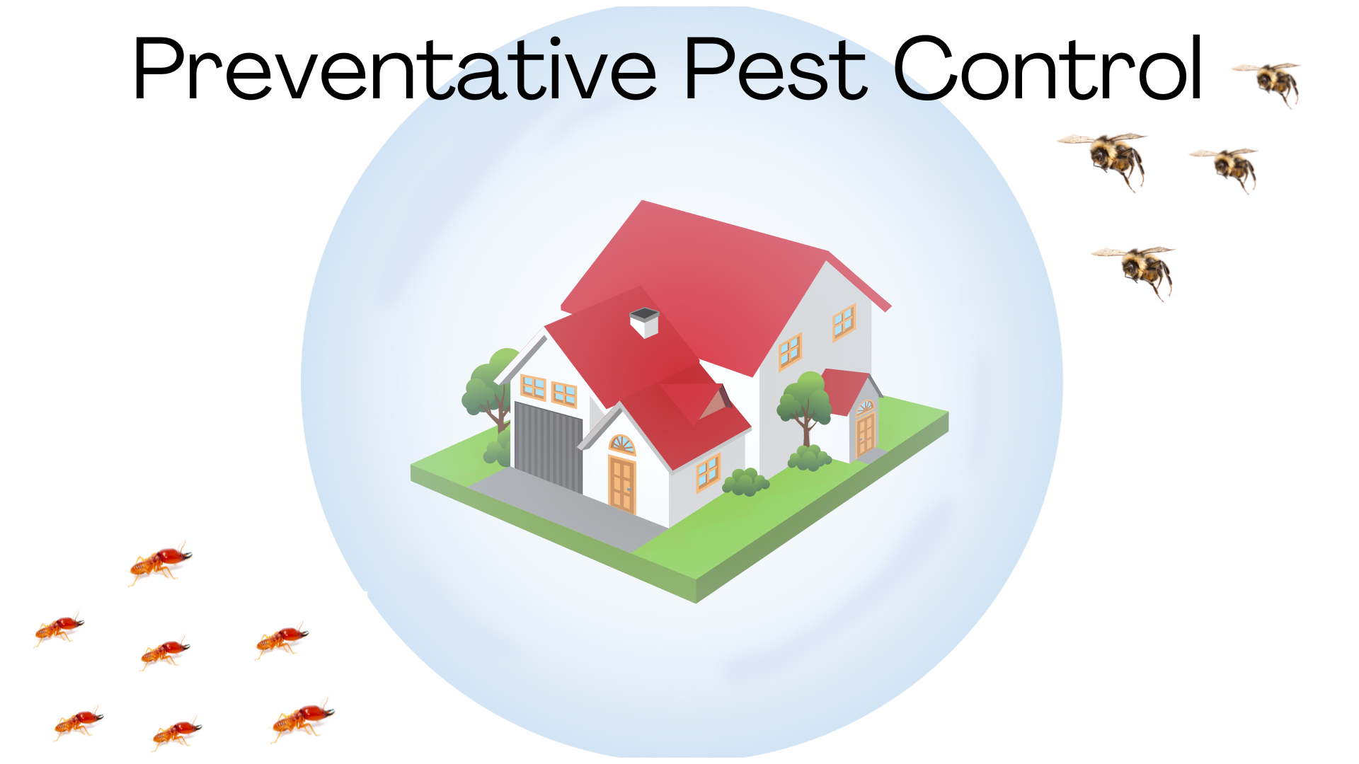 Why Preventative Pest Control is So Important