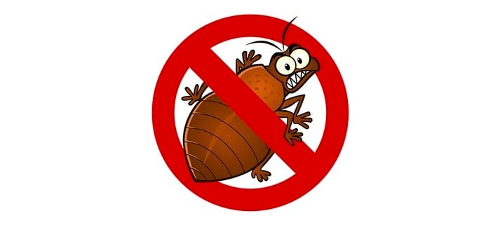 Bed Bug Heat Treatment – How to Make Bed Bugs a Thing of the Past