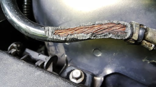 Protect Your Car Wiring From Rats, Squirrels, and Other Rodents