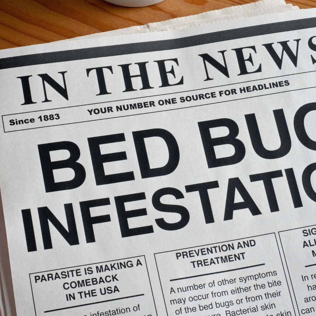 best way to treat an infestation is to prevent it