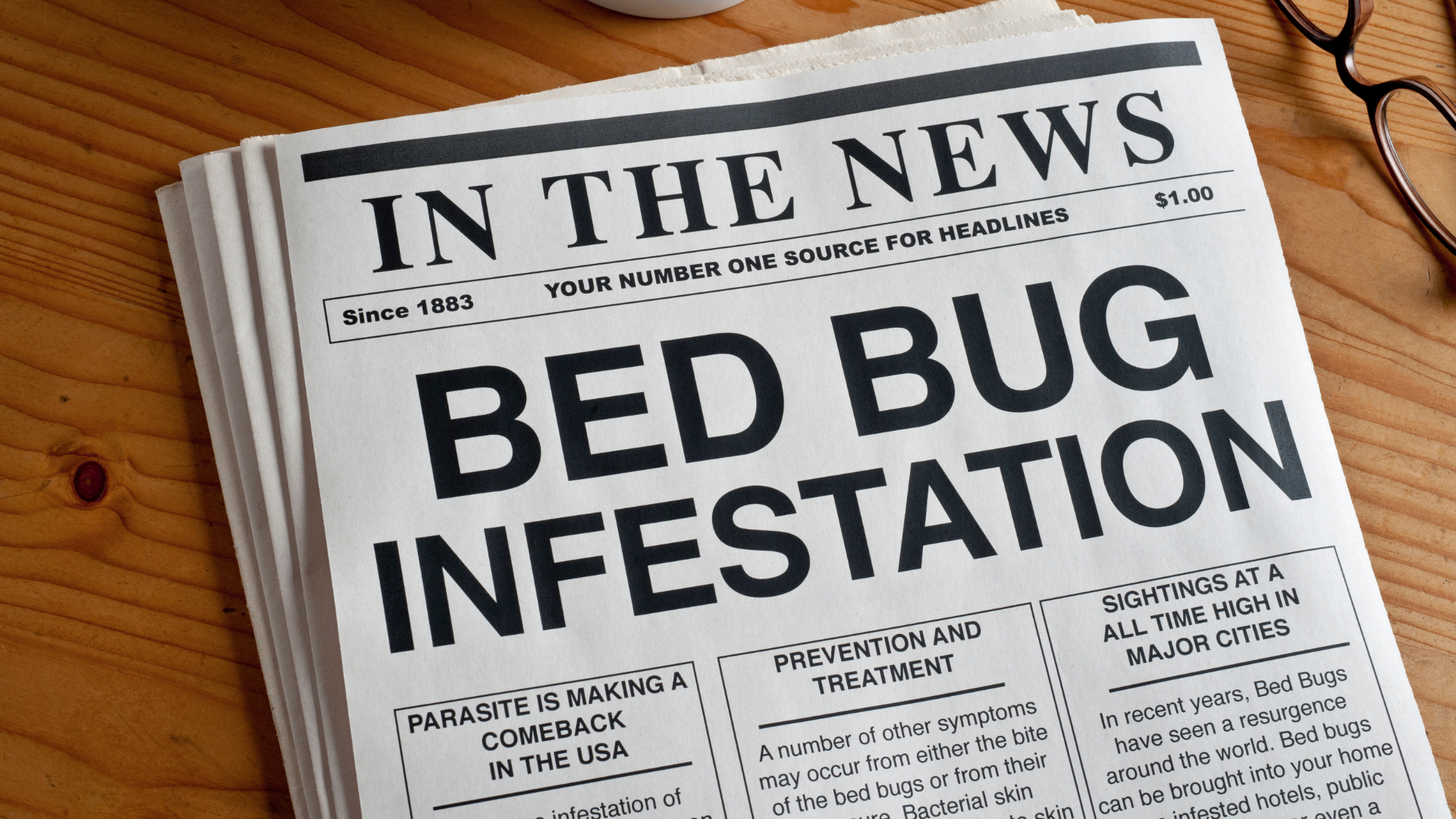 best way to treat an infestation is to prevent it