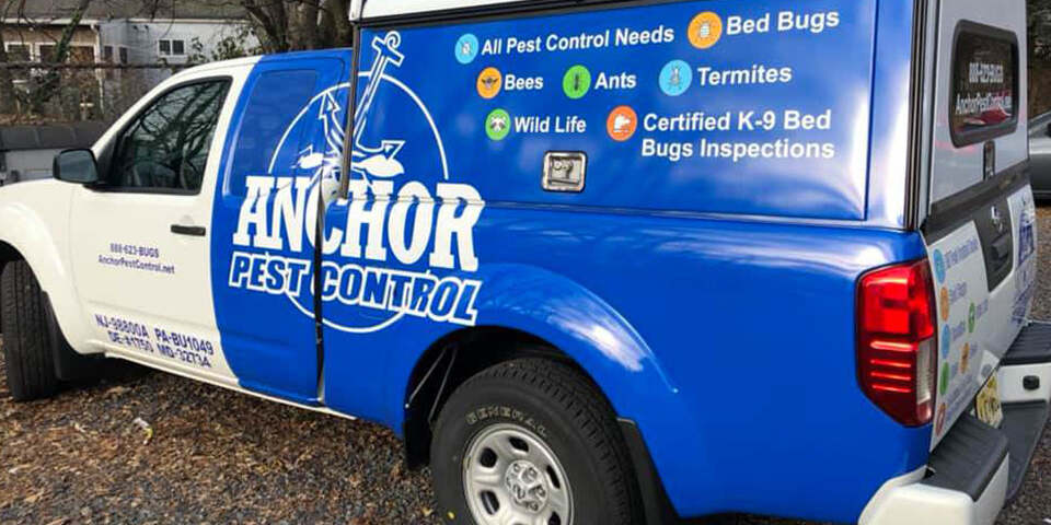 Pest control prices generally differ by the level of service